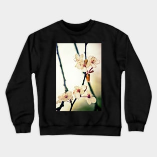 White Blossoms Crewneck Sweatshirt